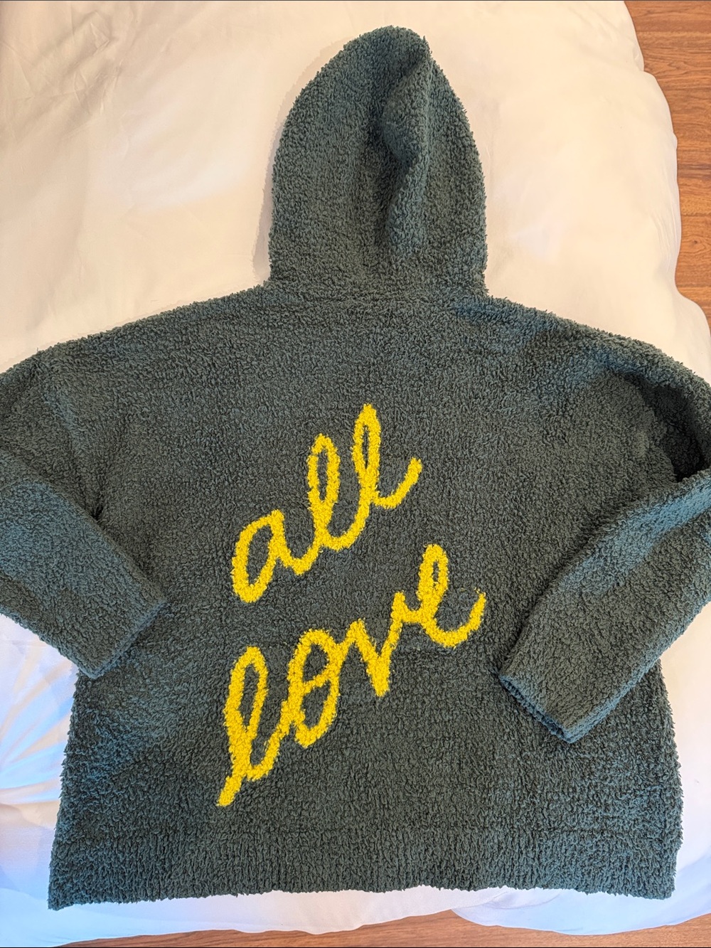 aerie Plush Hooded “all love” Teddy Sweater in Sage Green